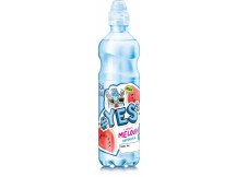 Dobrá voda YESs 0,5l Meloun