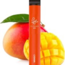 ELF BAR MANGO 600