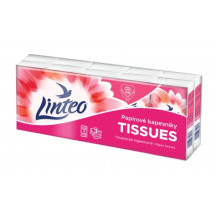 Linteo Papírové Kapesníky 10x10 3vrstvy