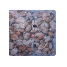 CA So 1/2 manh - slávky Novozel