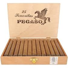detail PEGASO SENORITA SUMATRA 25KS