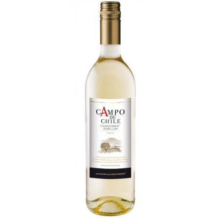chi tiết Campo de chile Chardonnay 750ml x 6