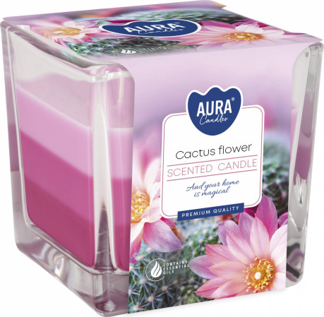 detail AURA 170g Svíčka Cactus flowers
