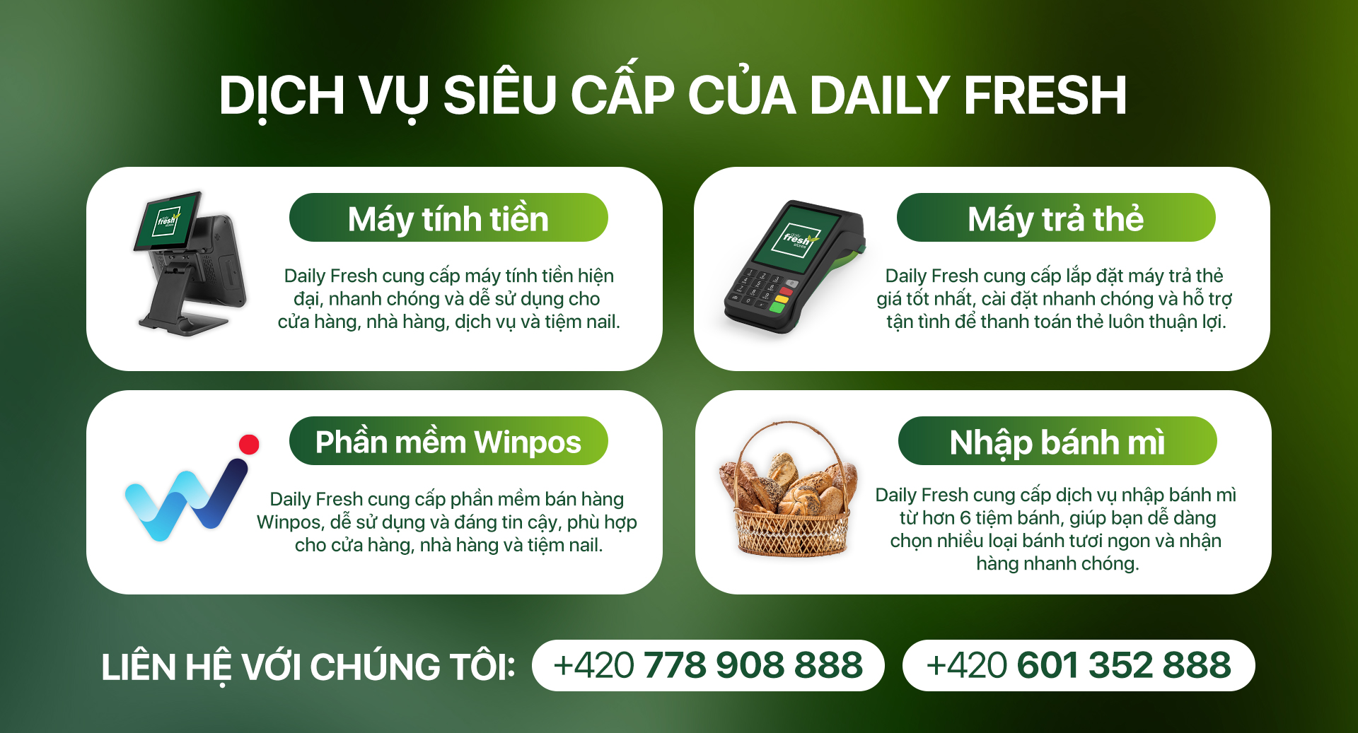 Dịch Vụ Dịch Vụ